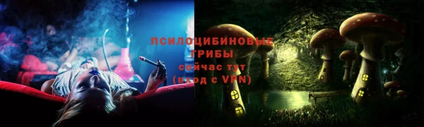 таблы Белокуриха
