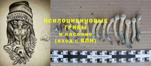 таблы Белокуриха