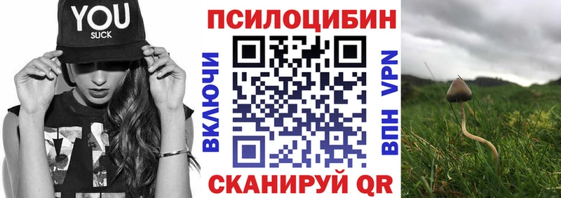 Псилоцибиновые грибы GOLDEN TEACHER  Высоцк 